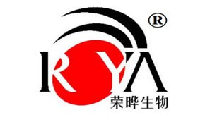 2004年