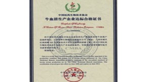 2008年