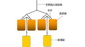 2005年